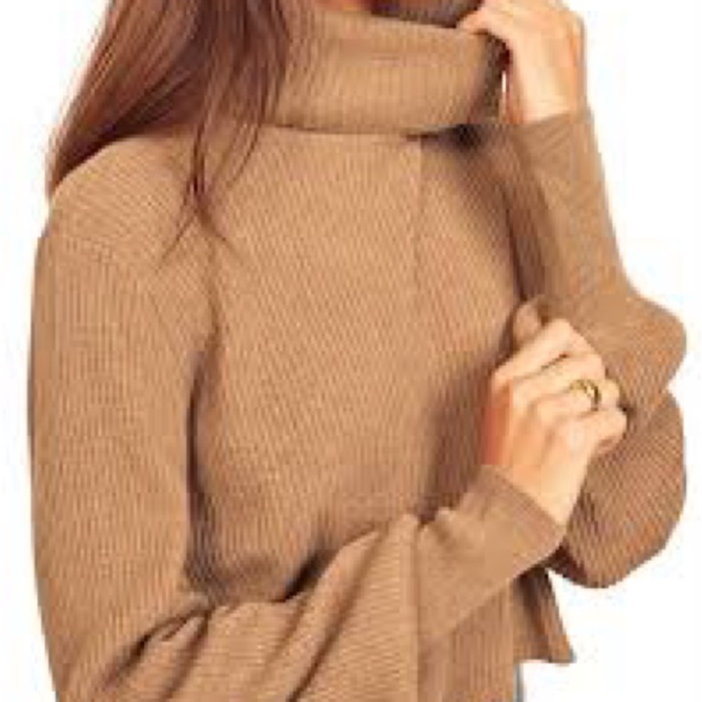 Reformation Cropped Luisa Turtleneck Sweater Cashmere